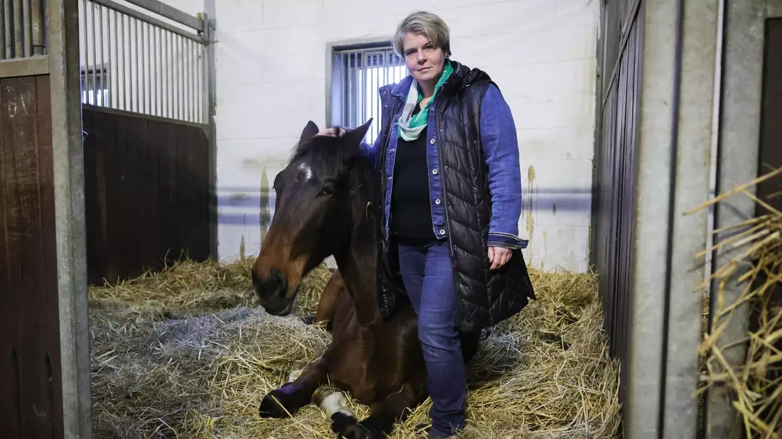 Nadine Wilkens, Landwirtin und Inhaberin einer Pferdepension, hat ihre Tiere vor dem Hochwasser in Sicherheit gebracht. - Bild: Christian Charisius/dpa
