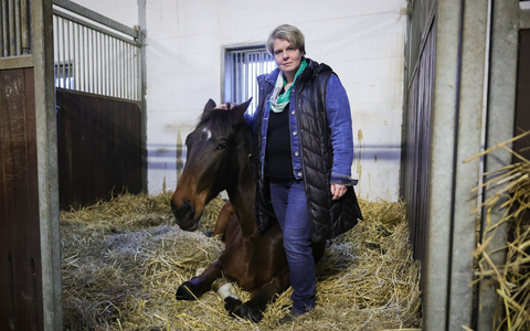 Nadine Wilkens, Landwirtin und Inhaberin einer Pferdepension, hat ihre Tiere vor dem Hochwasser in Sicherheit gebracht. - Foto: Christian Charisius/dpa