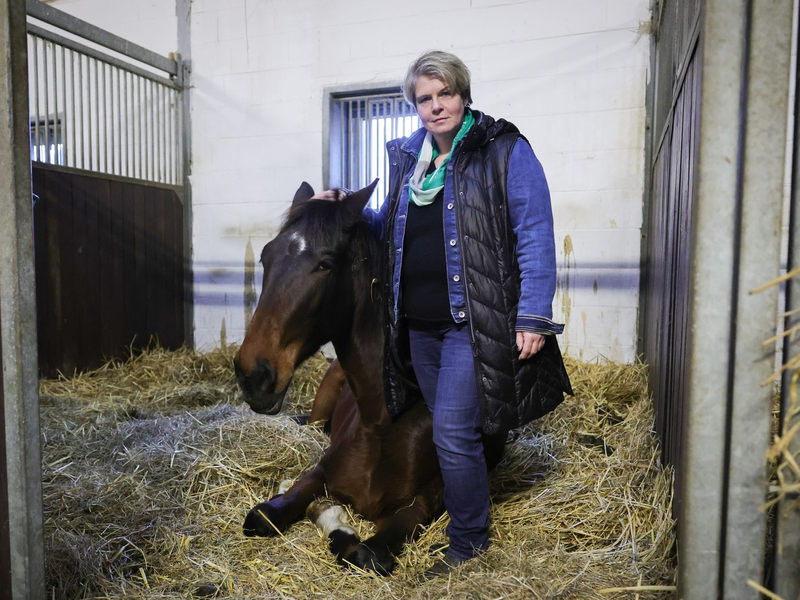 Nadine Wilkens, Landwirtin und Inhaberin einer Pferdepension, hat ihre Tiere vor dem Hochwasser in Sicherheit gebracht. - Foto: Christian Charisius/dpa