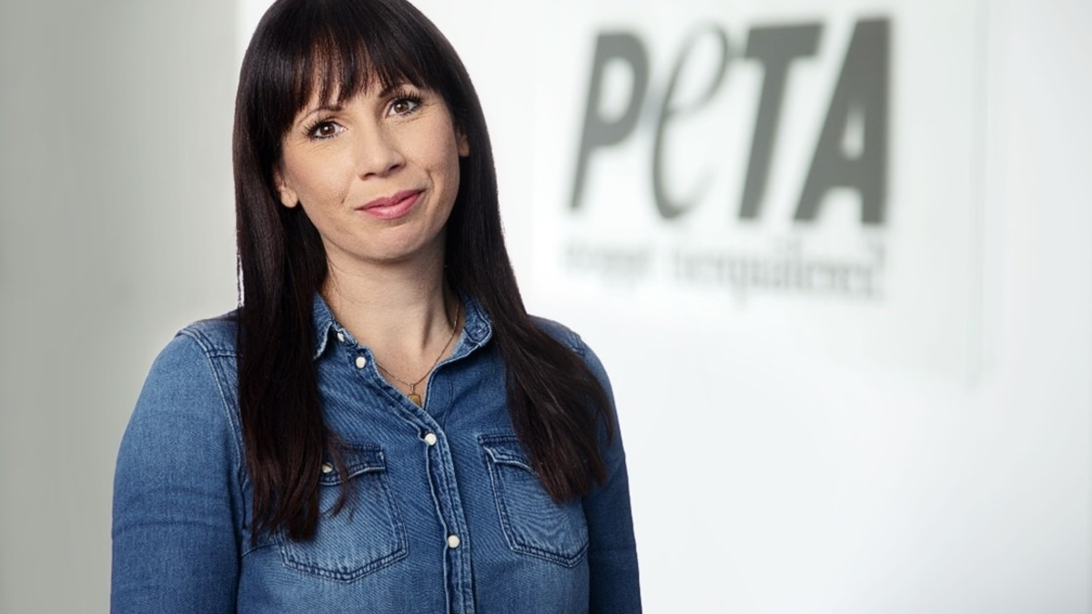 Evakuierungen wegen Hochwasser - PETA appelliert: 