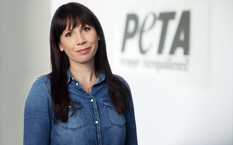 Evakuierungen wegen Hochwasser - PETA appelliert: Tierische Mitbewohner nicht zurücklassen! - Foto: presseportal.de