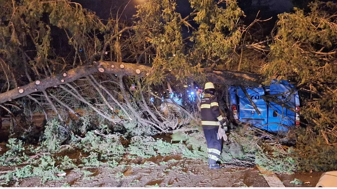 FW-M: Baum beschädigt Kleintransporter (Arabellapark) - Bild: presseportal.de