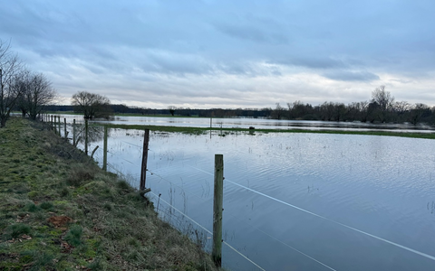 FW Flotwedel: 17. Lagemeldung zur Hochwasserlage in der Samtgemeinde Flotwedel - Foto: presseportal.de FW Flotwedel: 17. Lagemeldung zur Hochwasserlage in der Samtgemeinde Flotwedel - Foto: presseportal.de