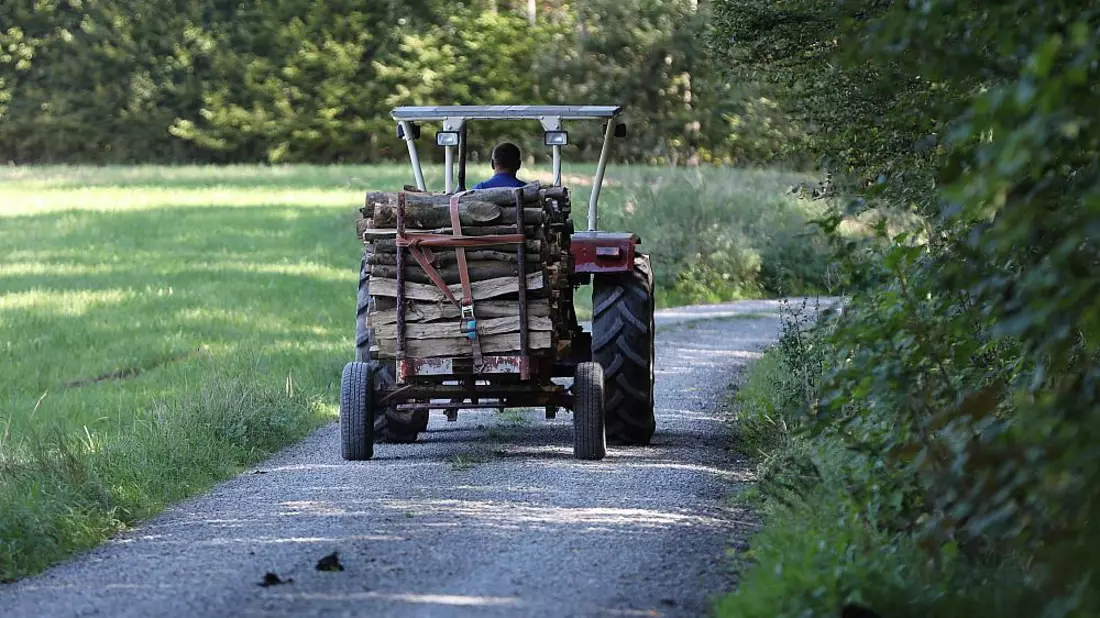 Holztransport (Archiv) - Bild: über dts Nachrichtenagentur