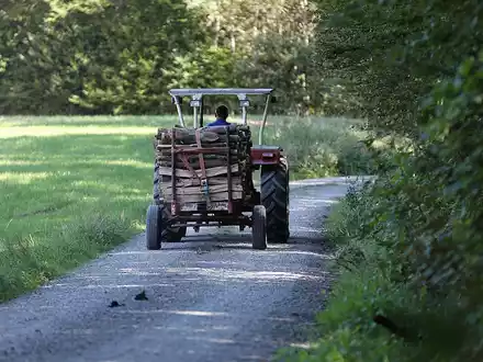 Holztransport (Archiv) - Foto: über dts Nachrichtenagentur