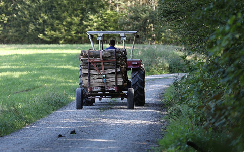 Holztransport (Archiv) - Foto: über dts Nachrichtenagentur