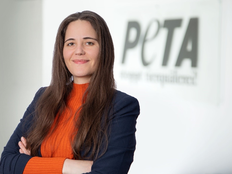 PETA kritisiert Deutschen Bauernverband für Scharade um geplante Subventionskürzungen: Wir sprechen von maximal 4.000 Euro pro Betrieb pro Jahr! - Foto: presseportal.de