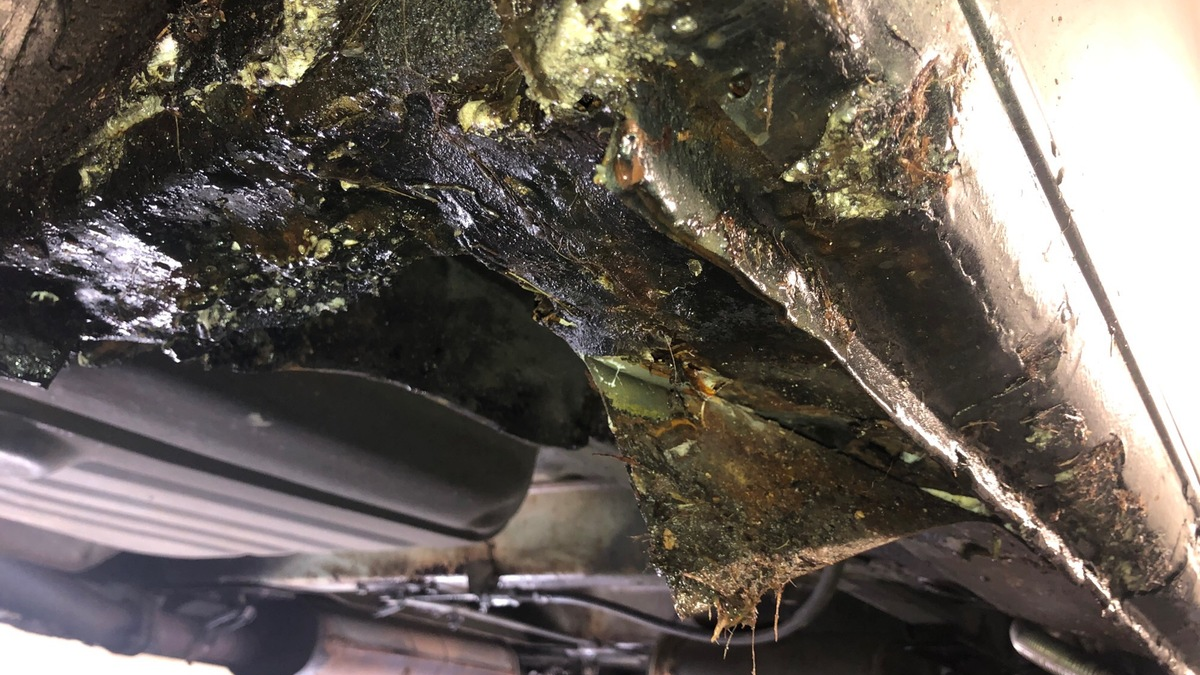 POL-ME: Polizei stoppt verkehrsuntauglichen Klein-Lkw - Langenfeld - 2401023 - Foto: presseportal.de