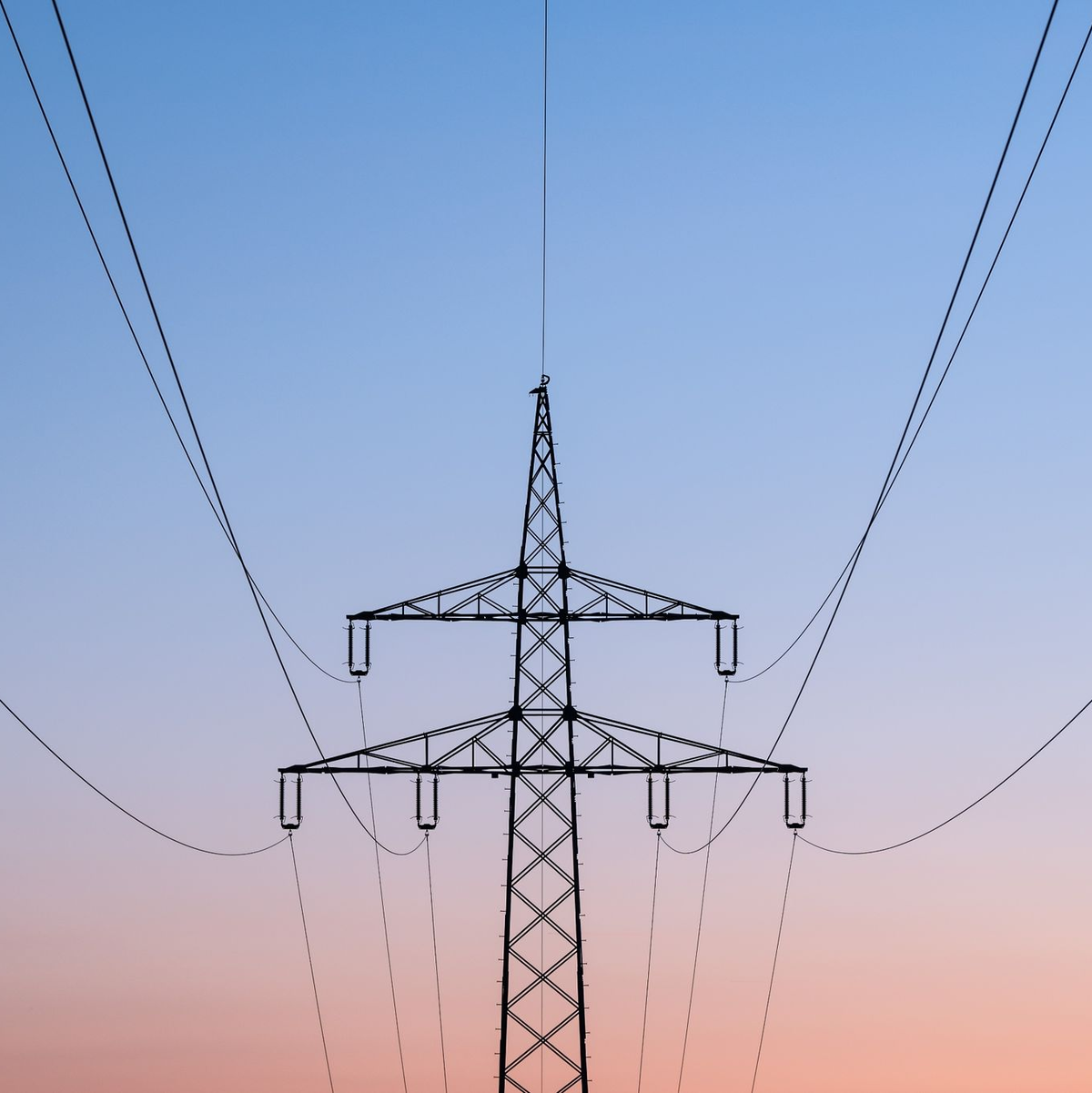 Über Netzentgelte wird unter anderem der teure Ausbau der Stromnetze finanziert. (Archivbild) - Foto: Silas Stein/dpa