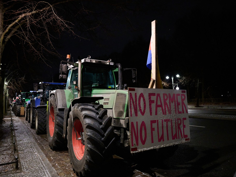 Ab heute machen die Landesbauernverbände mit zahlreichen Aktionen auf ihre Anliegen aufmerksam. - Foto: Annette Riedl/dpa