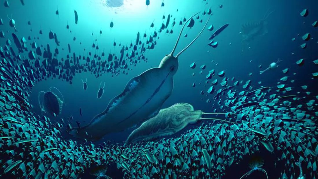 Der lateinische Name des Raubwurms, Timorebestia, bedeutet in etwa «furchteinflößende Bestie». - Bild: Bob Nicholls/BobNichollsArt/University of Bristol/dpa