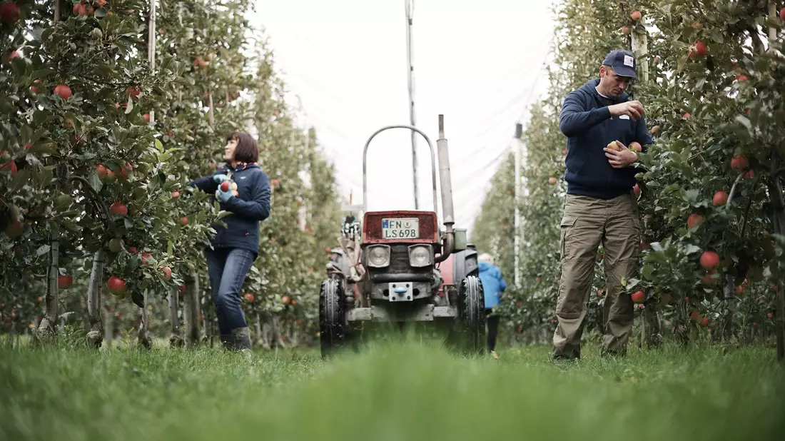 Äpfel made in Germay! Am 11. Januar 2024 feiern sie ihren Ehrentag - Bild: presseportal.de