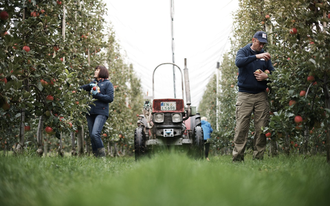 Äpfel made in Germay! Am 11. Januar 2024 feiern sie ihren Ehrentag - Foto: presseportal.de