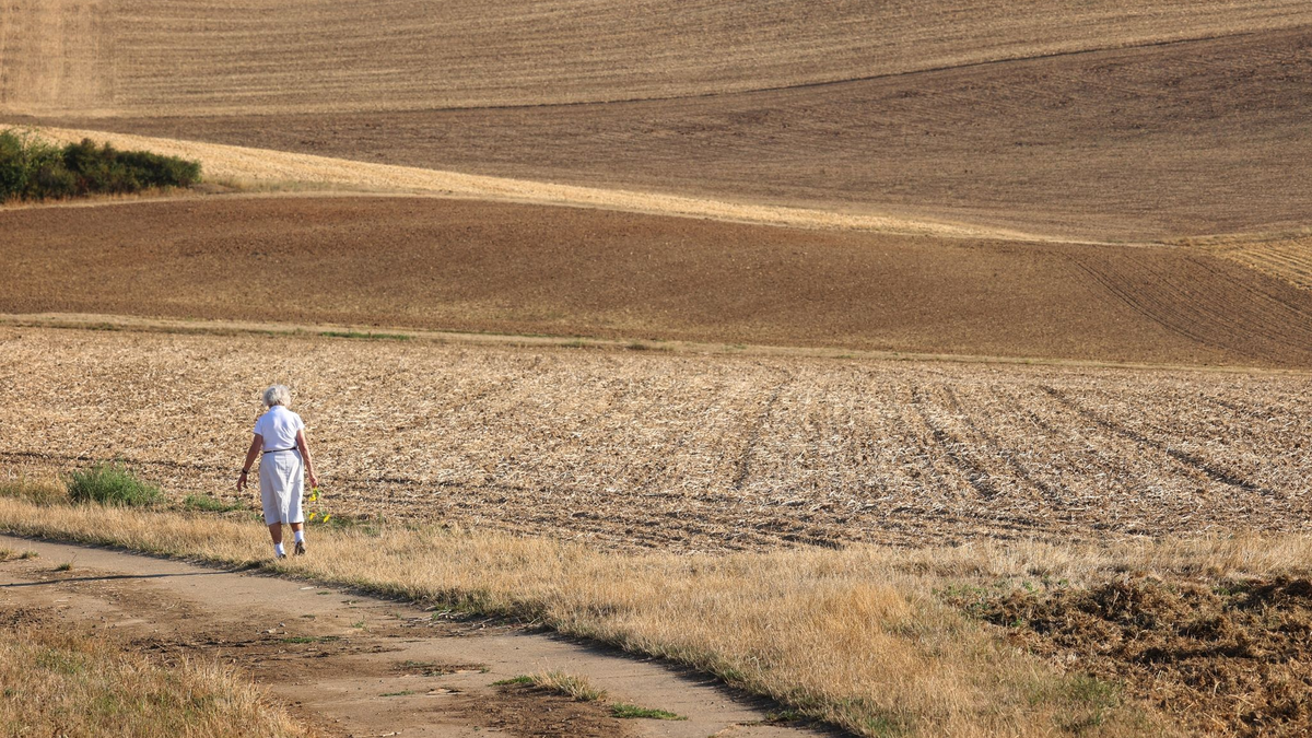 Wissenschaftler warnen eindringlich vor den unumkehrbaren Folgen einer weiteren globalen Erwärmung. - Foto: Karl-Josef Hildenbrand/dpa
