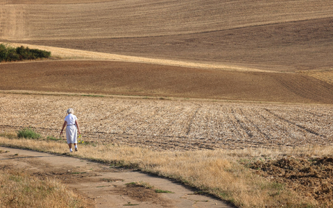 Wissenschaftler warnen eindringlich vor den unumkehrbaren Folgen einer weiteren globalen Erwärmung. - Foto: Karl-Josef Hildenbrand/dpa