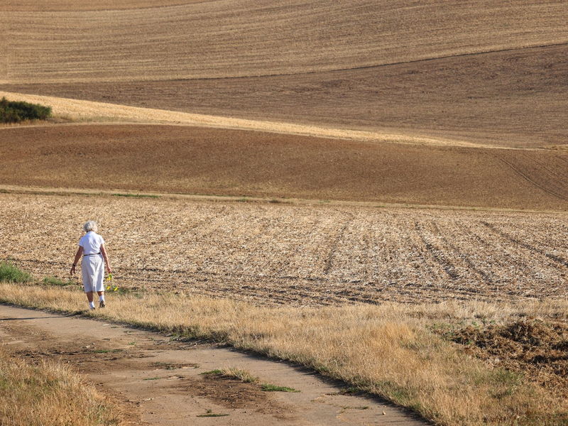 Wissenschaftler warnen eindringlich vor den unumkehrbaren Folgen einer weiteren globalen Erwärmung. - Foto: Karl-Josef Hildenbrand/dpa