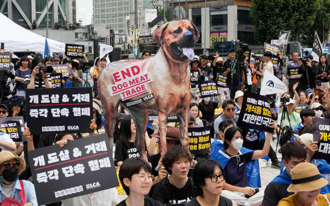 Tierschützer veranstalten eine Kundgebung gegen die traditionelle Kultur des Verzehrs von Hundefleisch in Südkorea. - Foto: Ahn Young-joon/AP
