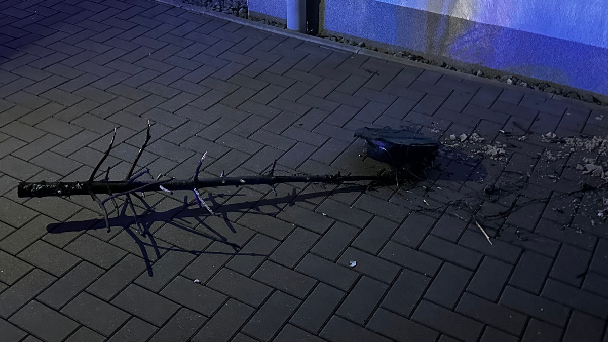 FW-NE: Brand in Hütte eines Modellbauvereins | Keine Verletzten - Foto: presseportal.de