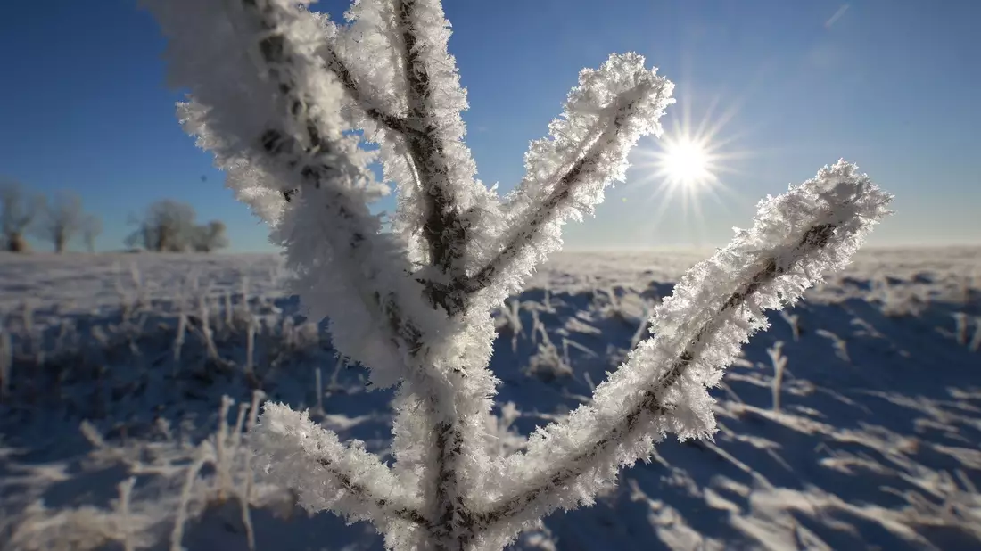 Frostiges Wetter im Oberharz bei Elbingerode. - Bild: Matthias Bein/dpa