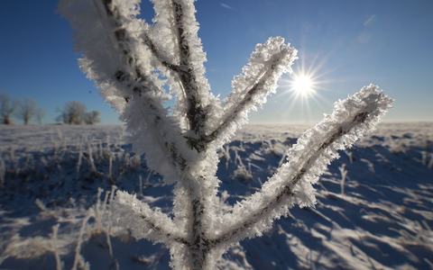 Frostiges Wetter im Oberharz bei Elbingerode. - Foto: Matthias Bein/dpa
