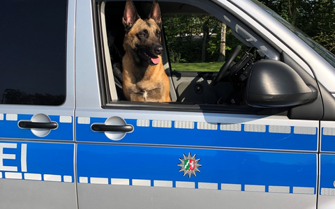 POL-E: Essen: Diensthund Krabat ertappt Katalysatordiebe auf frischer Tat - Foto: presseportal.de