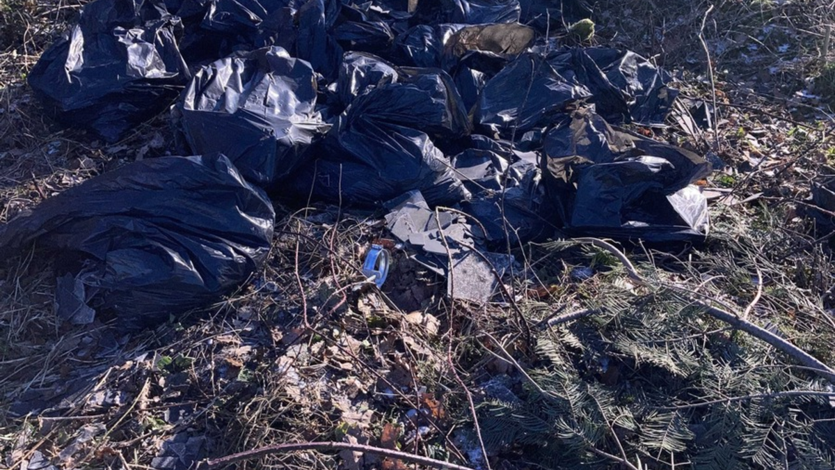 POL-LDK: Müllsäcke abgeladen (Foto) - Zeugensuche + Einbrüche + Betrüger ergaunern über 14.000 Euro + Unfallfluchten - Foto: presseportal.de