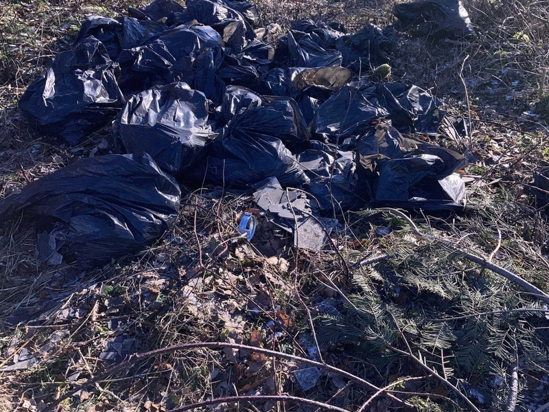 POL-LDK: Müllsäcke abgeladen (Foto) - Zeugensuche + Einbrüche + Betrüger ergaunern über 14.000 Euro + Unfallfluchten - Foto: presseportal.de