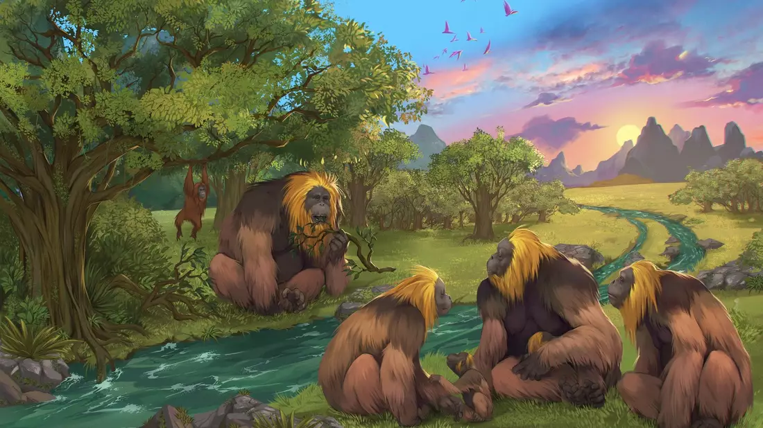 Künstlerische Darstellung einer Gruppe von Gigantopithecus blacki in einem Wald. - Bild: Garcia/Joannes-Boyau/Southern Cross University/dpa