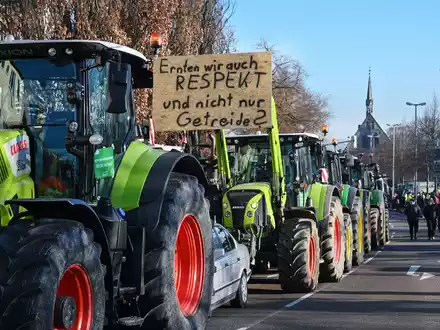 Mit einem Traktor-Konvoi demonstrieren Bauern gegen Subventionskürzungen. - Foto: Uwe Zucchi/dpa