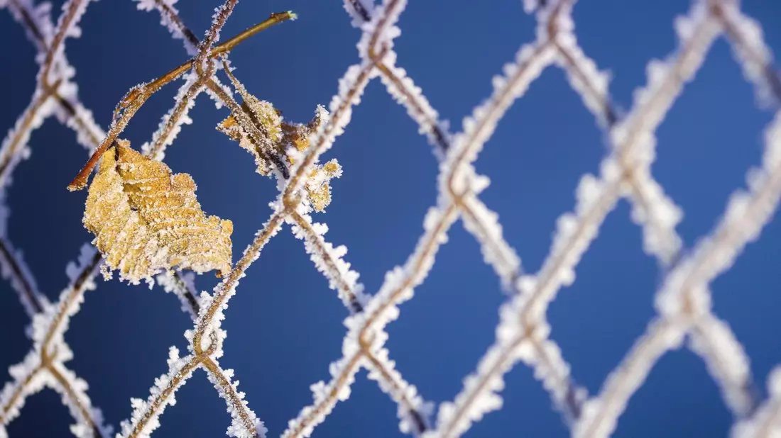 Kaiserwetter in Baden-Württemberg: Nach Vorhersagen des Deutschen Wetterdienstes (DWD) wird es am Wochenende überwiegend sonnig bei Temperaturen zwischen minus zwei und plus drei Grad. - Bild: Thomas Warnack/dpa
