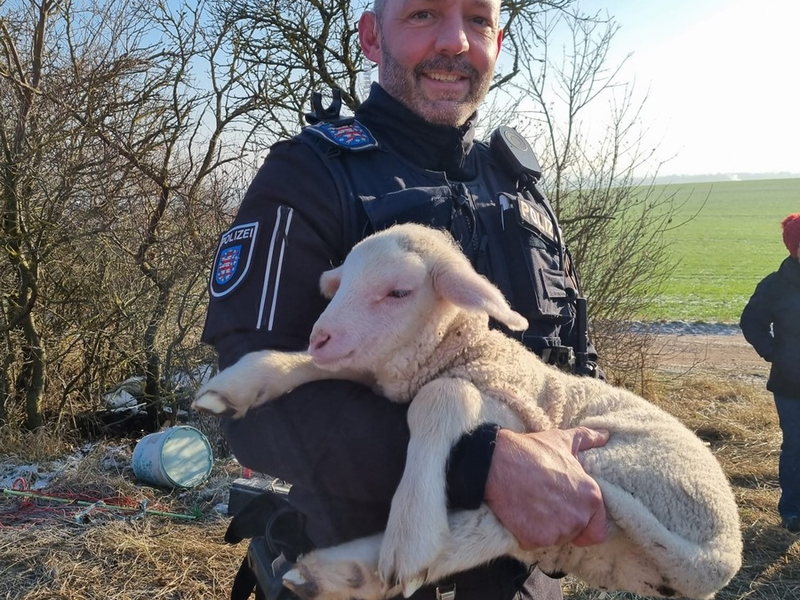 LPI-EF: Erfolgreiche Tierrettung - Foto: presseportal.de