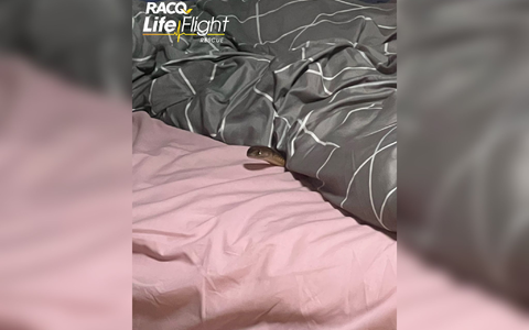 Die Östliche Braunschlange ist eine der der giftigsten Schlangen der Welt. - Foto: Racq Life Flight/RACQ LIFE FLIGHT/AAP/dpa