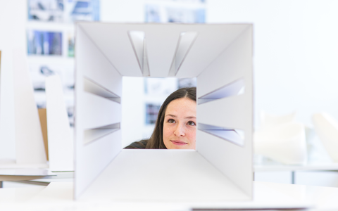 Studienmöglichkeiten entdecken - Foto: FH Salzburg/wildbild über pressetext.de