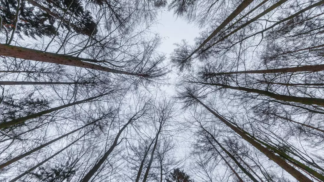 Am Wochenende wird es etwas wärmer, dafür aber weniger sonnig. - Bild: Markus Scholz/dpa