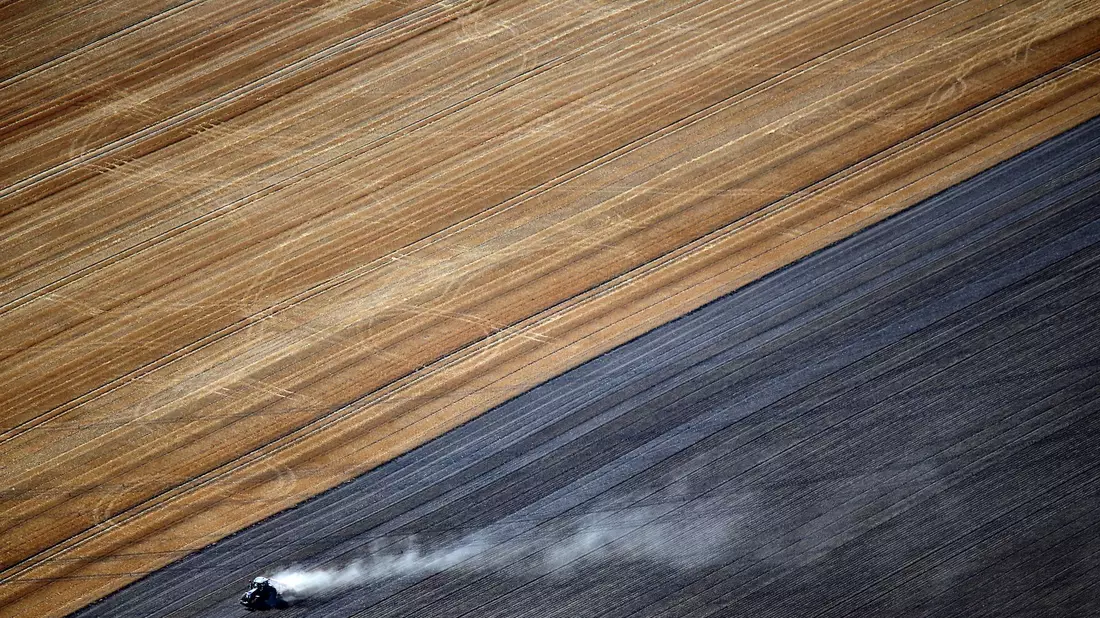 Laut einer Studie wird sich die Zahl der Bauernhöfe bis 2040 mehr als halbieren. - Bild: picture alliance / dpa