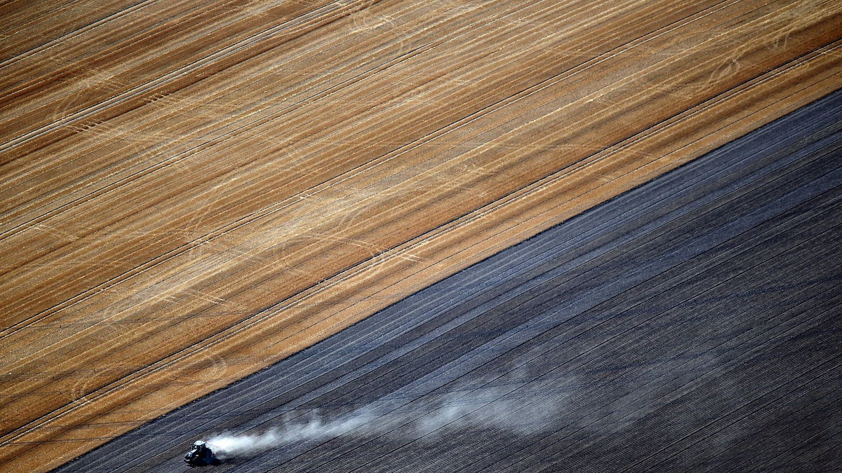 Laut einer Studie wird sich die Zahl der Bauernhöfe bis 2040 mehr als halbieren. - Foto: picture alliance / dpa