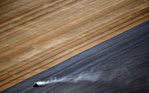 Laut einer Studie wird sich die Zahl der Bauernhöfe bis 2040 mehr als halbieren. - Foto: picture alliance / dpa