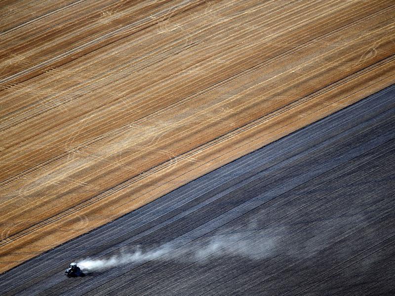 Laut einer Studie wird sich die Zahl der Bauernhöfe bis 2040 mehr als halbieren. - Foto: picture alliance / dpa