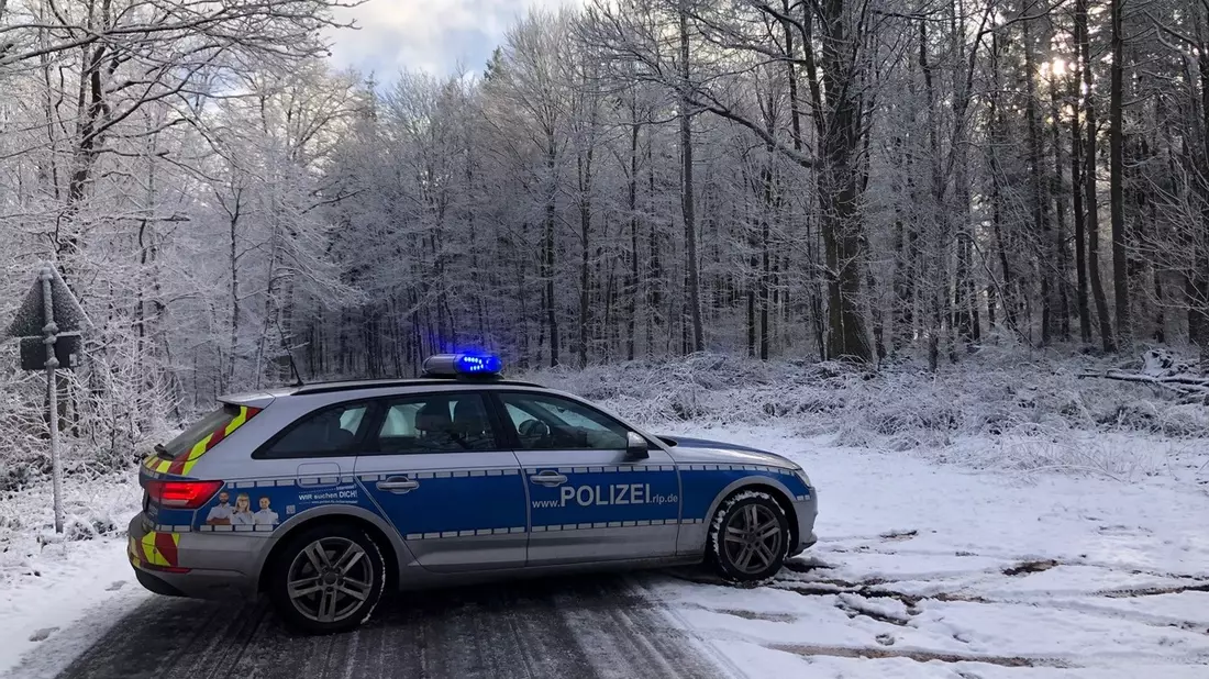 POL-PDNW: (Bad Dürkheim) - unter Alkoholeinfluss E-Scooter geführt - Bild: presseportal.de