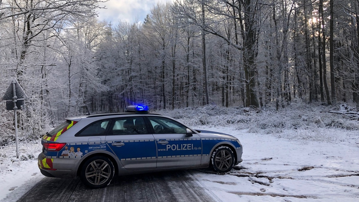 POL-PDNW: (Bad Dürkheim) - unter Alkoholeinfluss E-Scooter geführt - Foto: presseportal.de