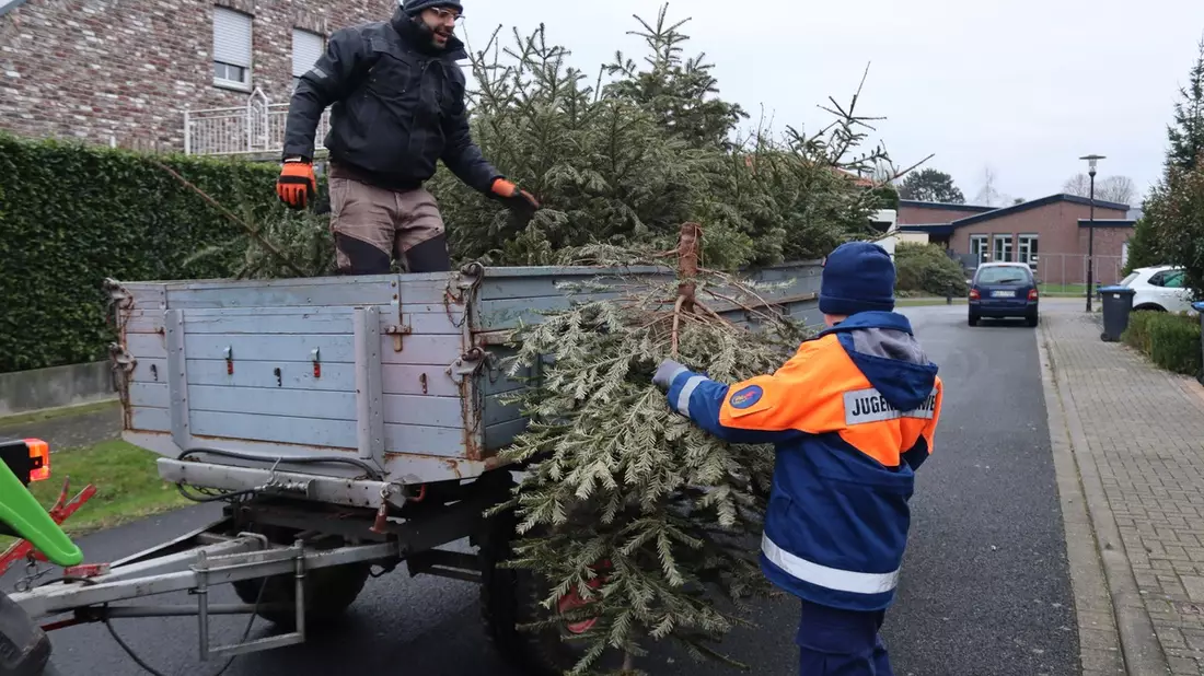 FW Gangelt: Mehrere hundert Weihnachtsbäume eingesammelt - Bild: presseportal.de
