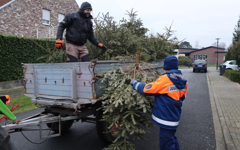 FW Gangelt: Mehrere hundert Weihnachtsbäume eingesammelt - Foto: presseportal.de