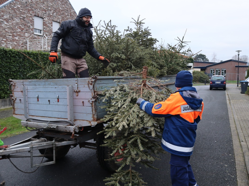 FW Gangelt: Mehrere hundert Weihnachtsbäume eingesammelt - Foto: presseportal.de