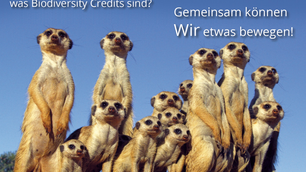  - Foto: Maleika Film GmbH über pressetext.de