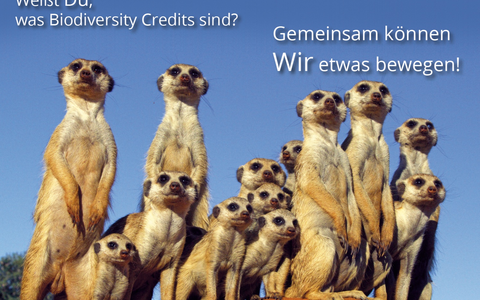  - Foto: Maleika Film GmbH über pressetext.de