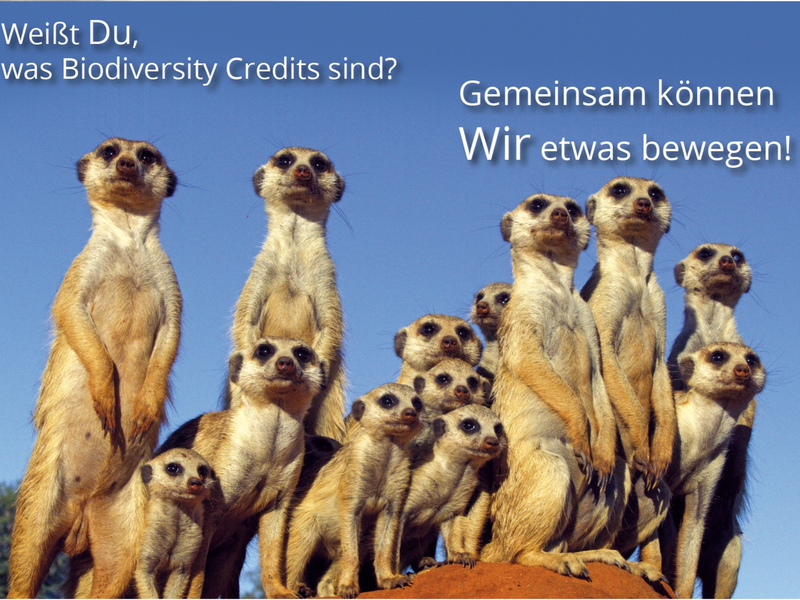  - Foto: Maleika Film GmbH über pressetext.de