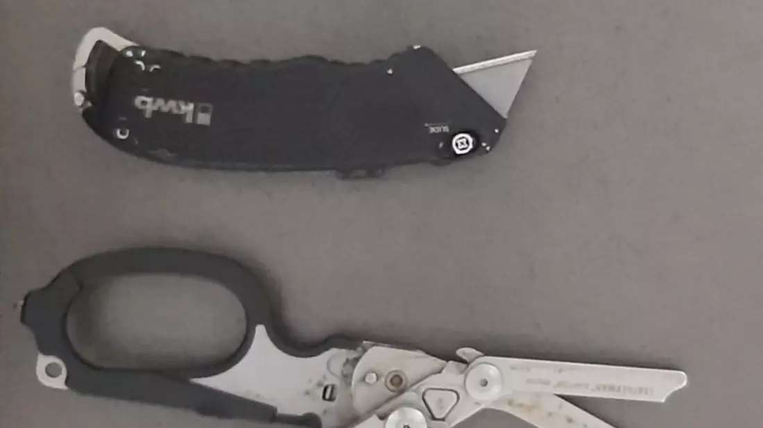 Bundespolizeidirektion München: Sicherheitsdienst bedroht / Böses Erwachen in der S-Bahn Abstellung - Bild: presseportal.de
