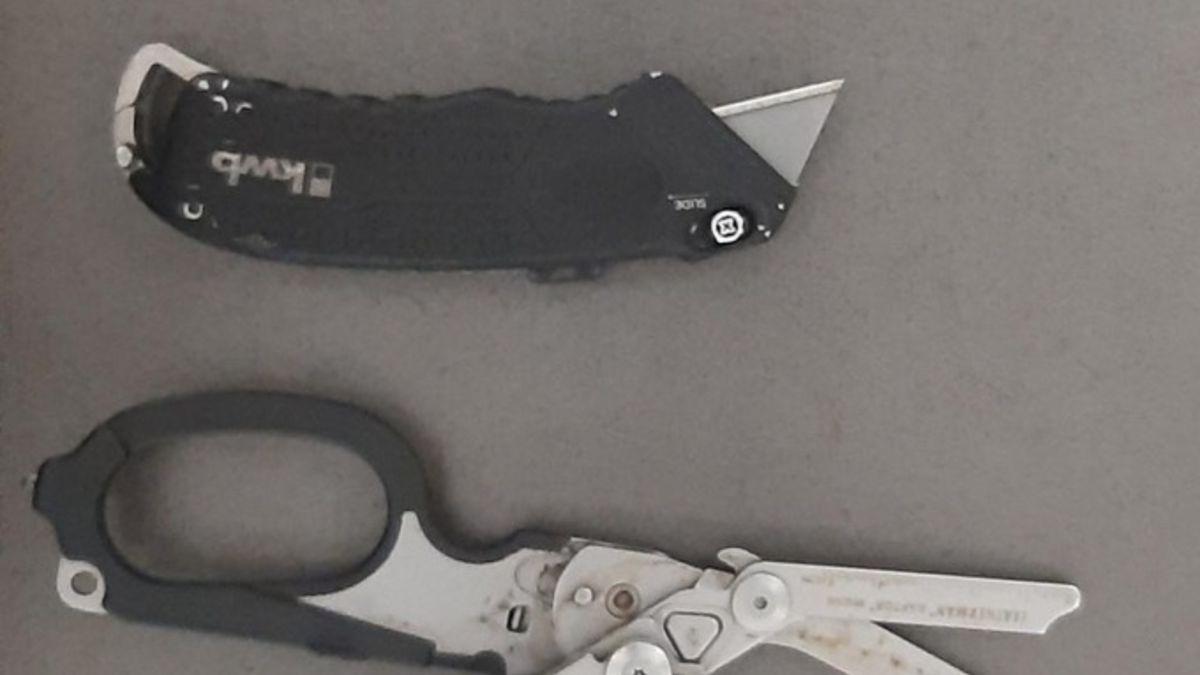 Bundespolizeidirektion München: Sicherheitsdienst bedroht / Böses Erwachen in der S-Bahn Abstellung - Foto: presseportal.de