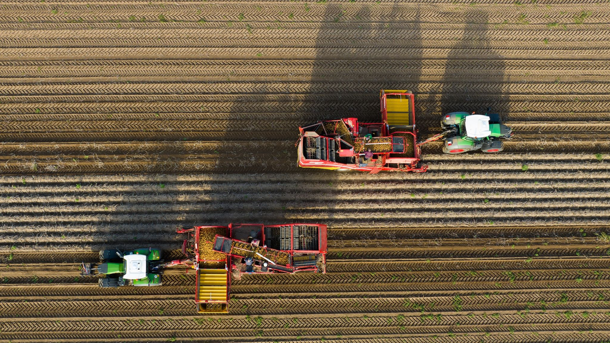 Derzeit ist offen, ob die Landwirtschaft bei der Umstellung auf alternative Antriebe auf staatliche Hilfe setzen kann. - Foto: Philipp Schulze/dpa