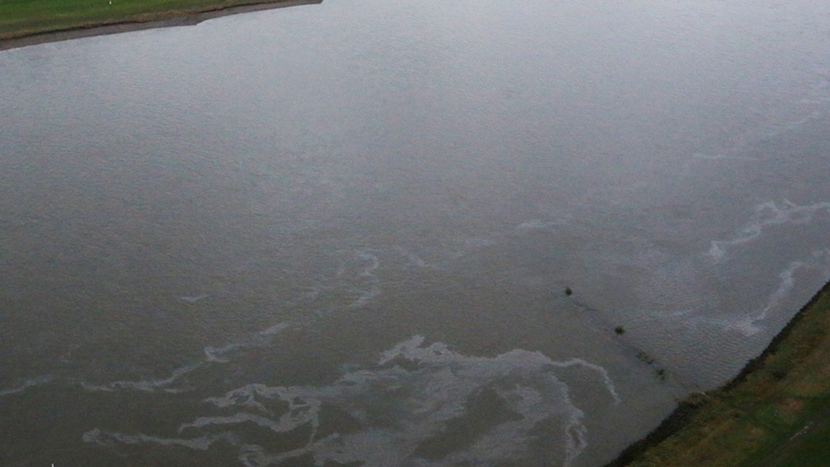 POL-DU: Düsseldorf-Wittlaer: Gewässerverunreinigung auf dem Rhein - Wasserschutzpolizei ermittelt - Foto: presseportal.de